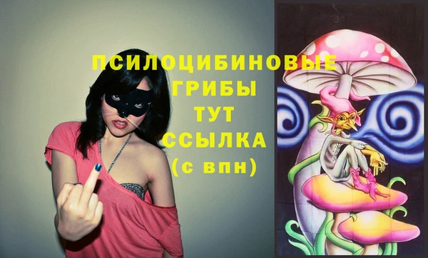 бутират Богородицк