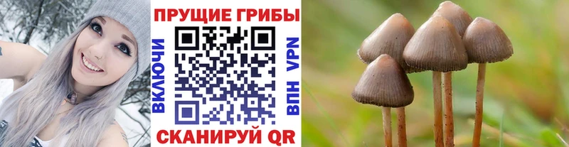 Псилоцибиновые грибы мицелий  Севск 
